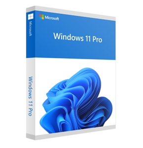 Windows 11 Pro 64